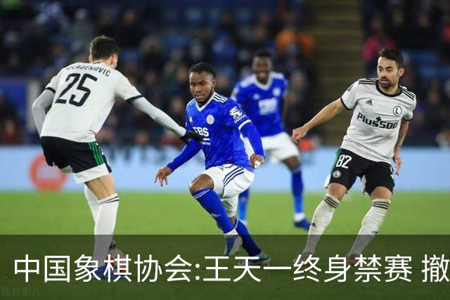 中国象棋协会:王天一终身禁赛 撤销特大等称号